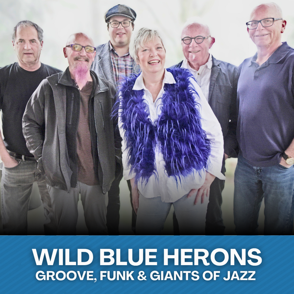 Wild Blue Herons・Jan 30 2026